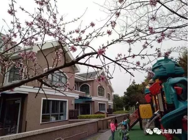 上海民办幼儿园排名一览表,上海宝山民办幼儿园