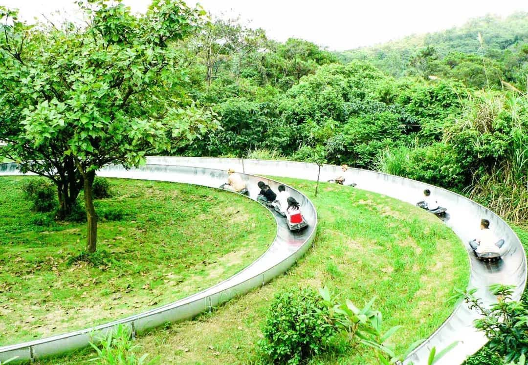 白云山打卡转场,广州白云山爬山攻略怎么预约