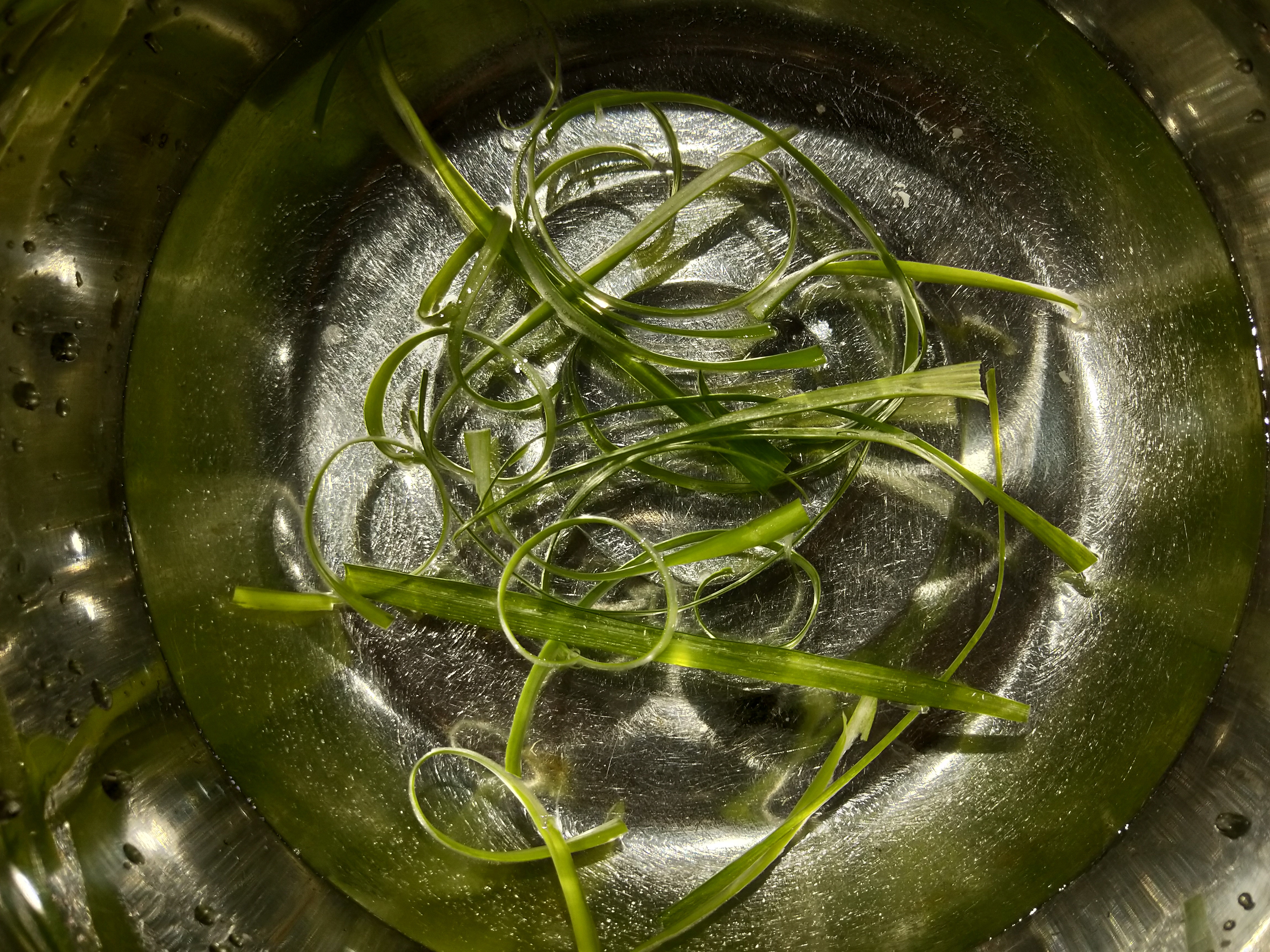 蒸烤箱使用避坑,用了两年蒸烤箱发现神功能