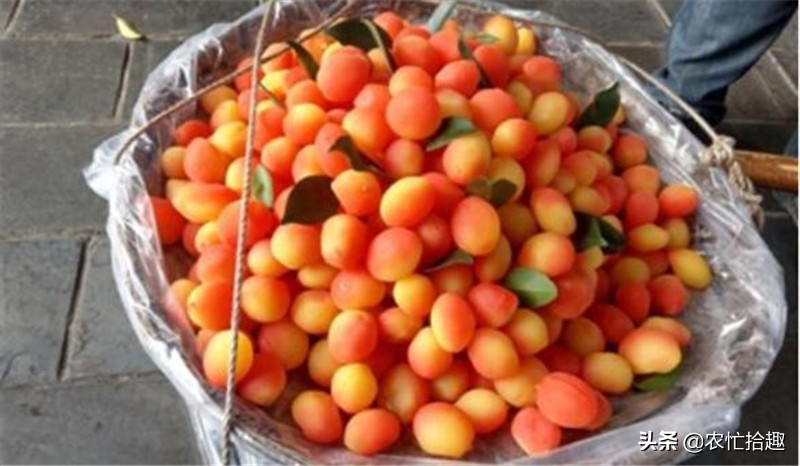 街上卖的颜色很鲜艳的果子,街边卖的特别鲜艳的水果