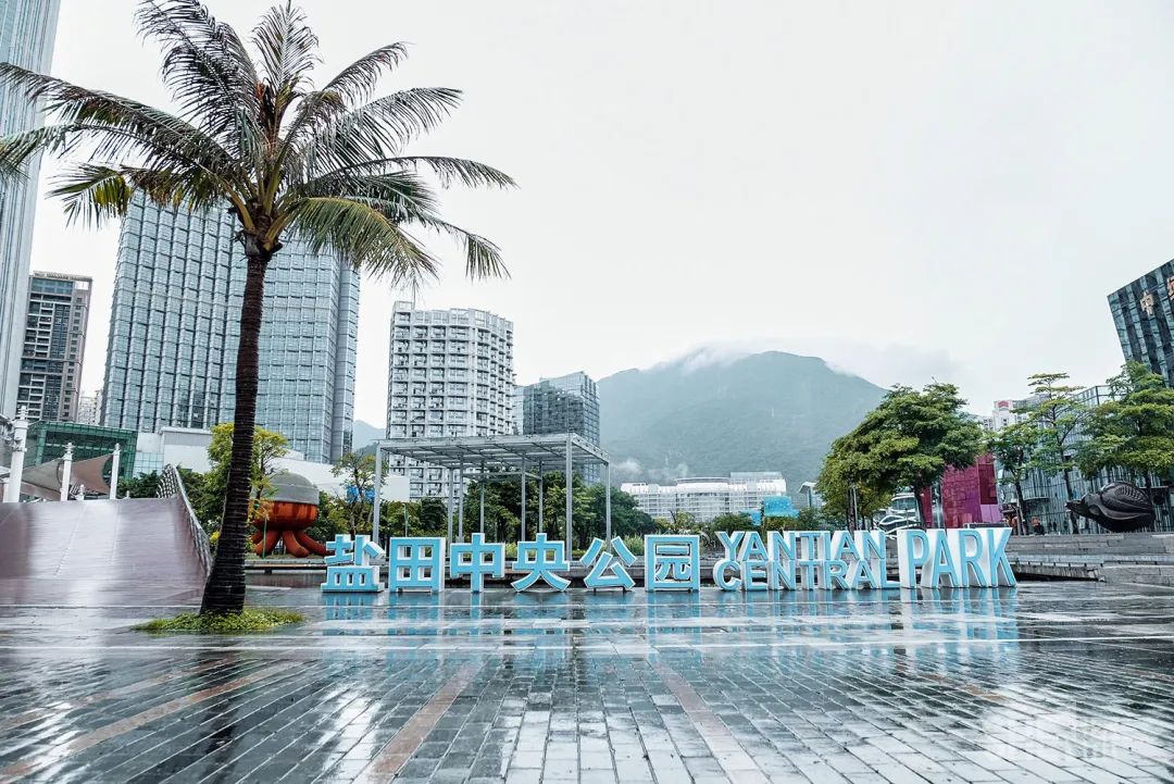 疫情期间免费开放的公园,疫情期间开放的公园有哪些