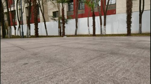 米家freetie轻云缓震竞速跑鞋,freetie轻云跑步鞋和云弹跑步鞋