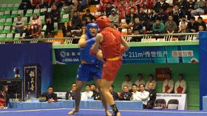 付高峰vs一龙,付高峰播求比赛视频