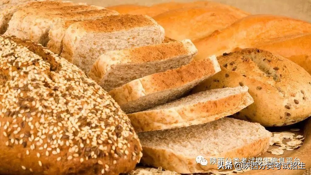 两汉三国,真美汉中|汉中职业技术学院