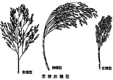 湖南谷姓的来源,谷城县有谷姓族人吗