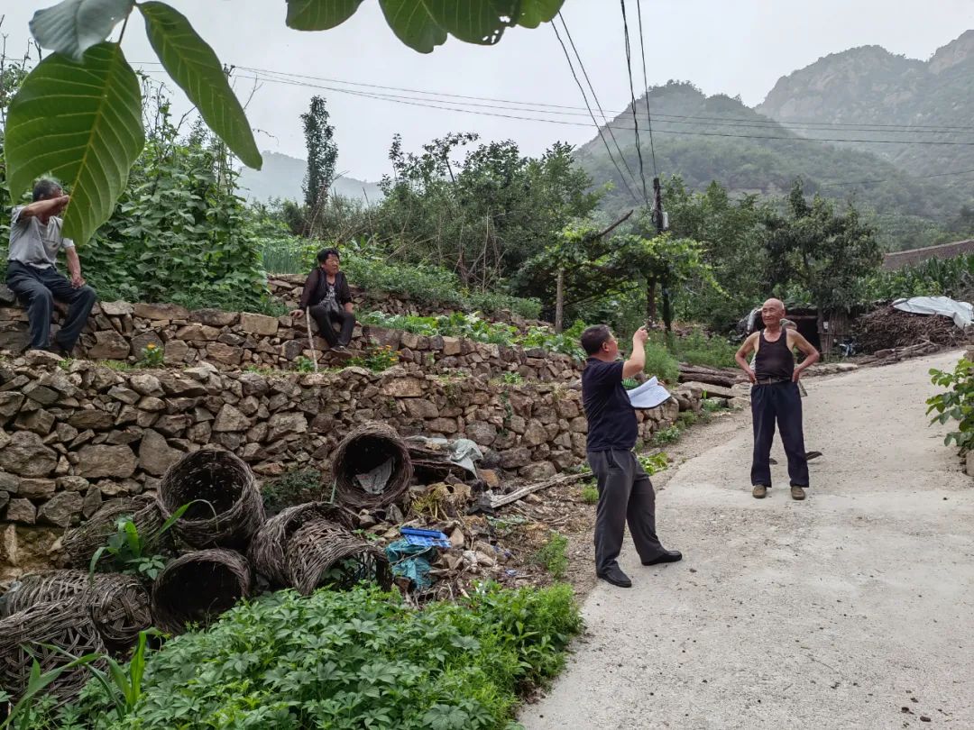 大山里的映山红图片,大山里的映山红歌曲