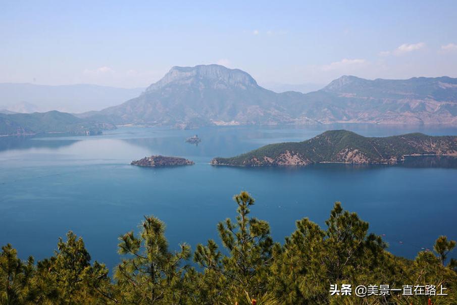 西伯利亚海鸥回到泸沽湖,西伯利亚海鸥泸沽湖