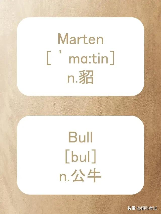 动物的英文拼写及音标,关于动物的单词及音标