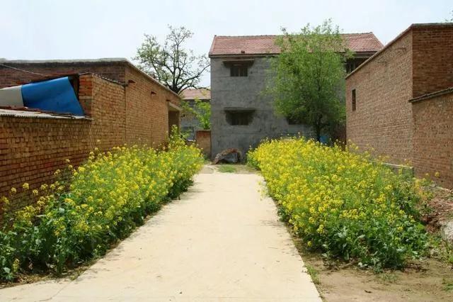 土地确权后，你要成为这五种人才能保住你的土地