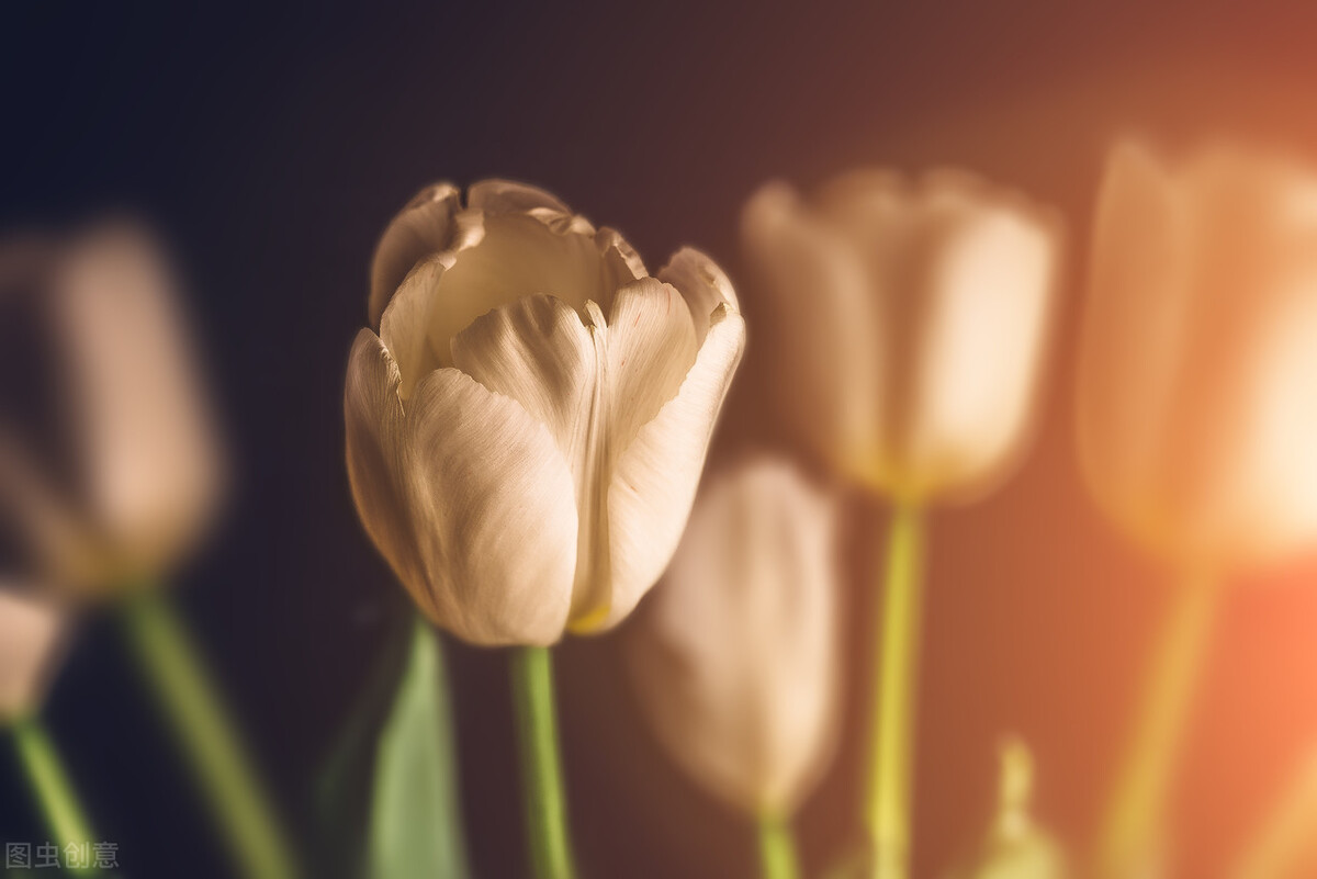 一起迎接新生命的视频,一起迎接孩子们