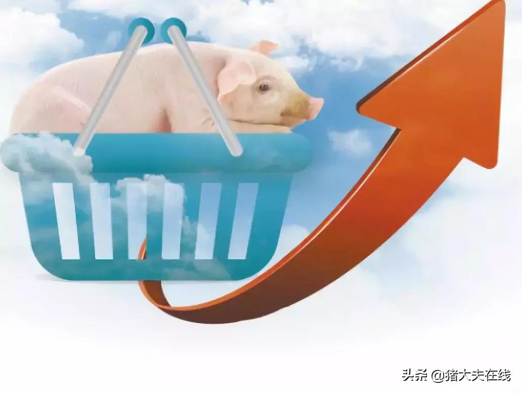 今年猪价能涨到多少钱,预计2019年猪价会怎样