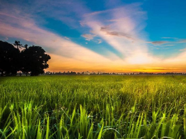 做什么行业比房地产好赚钱,现在除了房地产还有什么赚钱行业