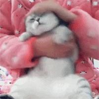 宝宝在医院的护理常识,宝宝应该怎样护理不得病