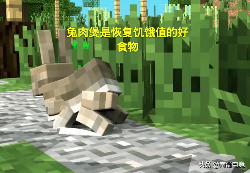 我的世界沙漠的兔子可以被驯服吗,兔子的冷知识之我的世界