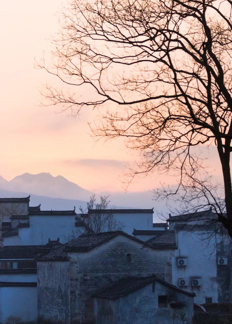 安徽春天美丽的视频,安徽美丽的春天