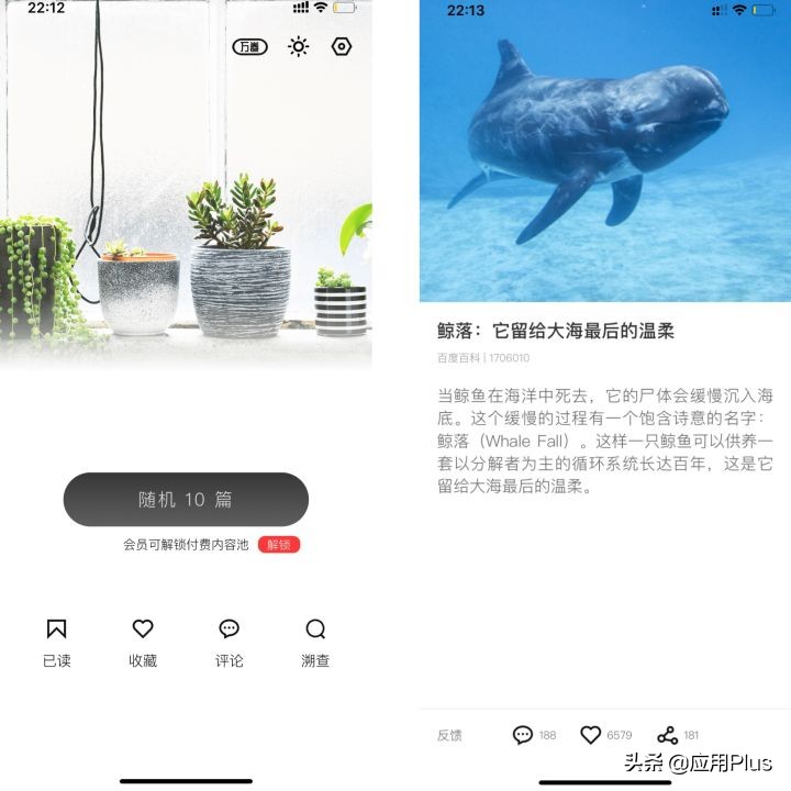 5个让自己偷偷成长的App，送给爱学习的你