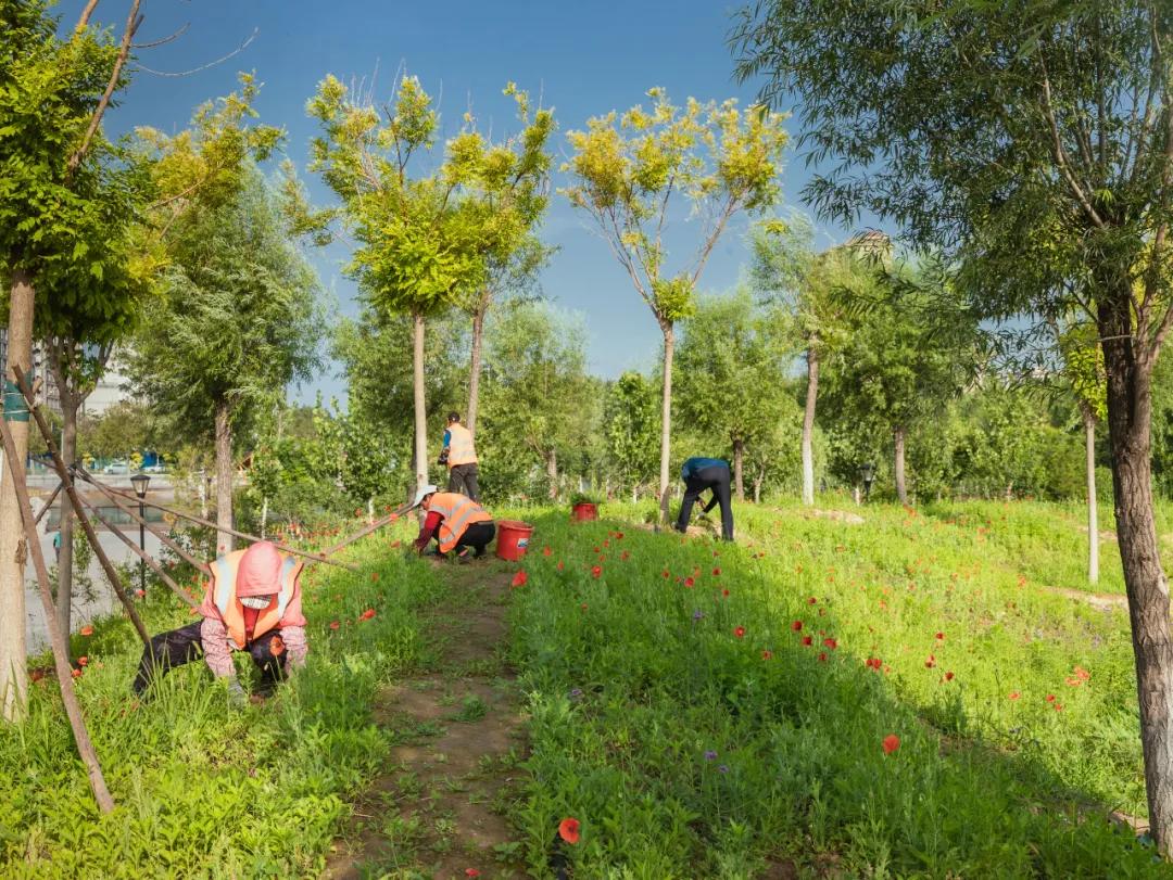 顺义公园健康步道效果图,顺义公园健康步道翻新