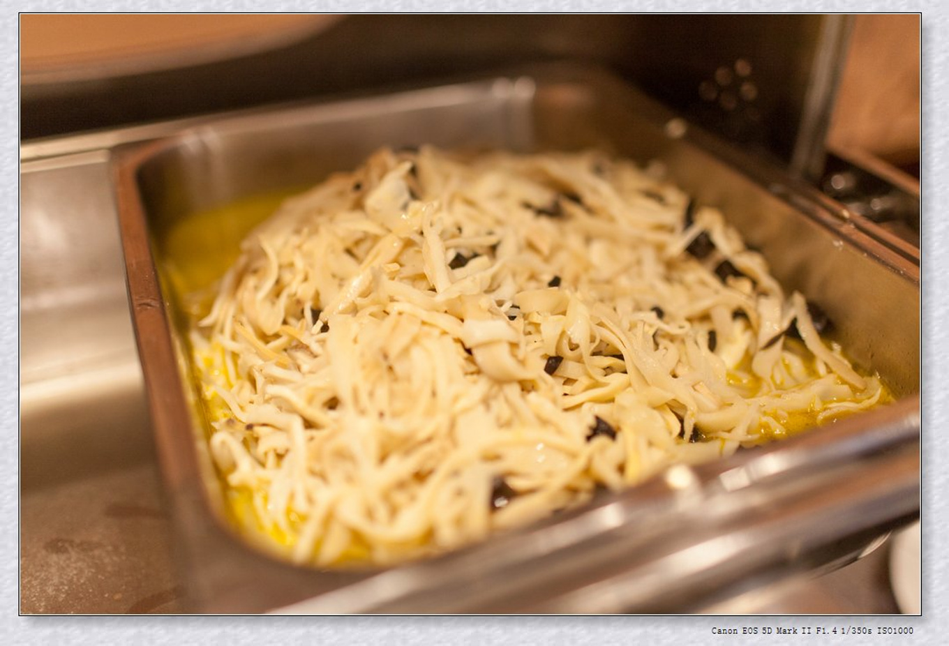 常州旅游东方盐湖城,骆驼之旅视频