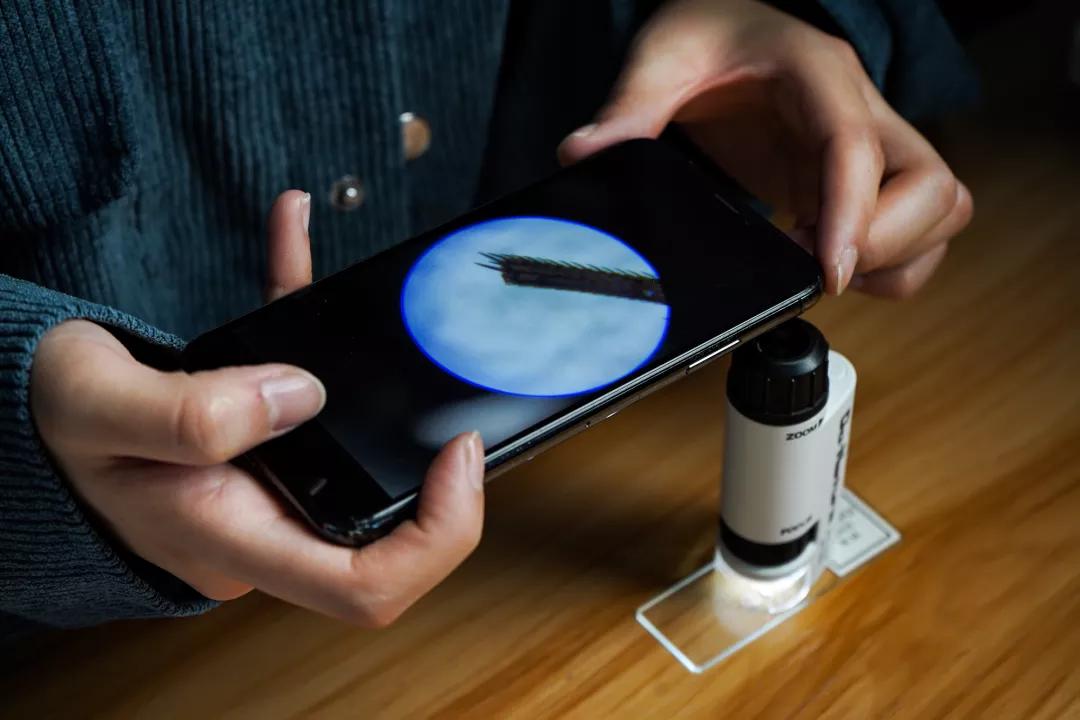 可随身携带的儿童显微镜,kenko儿童显微镜