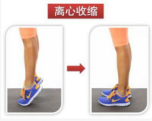 运动员筋受伤,运动员腰和腿都受伤