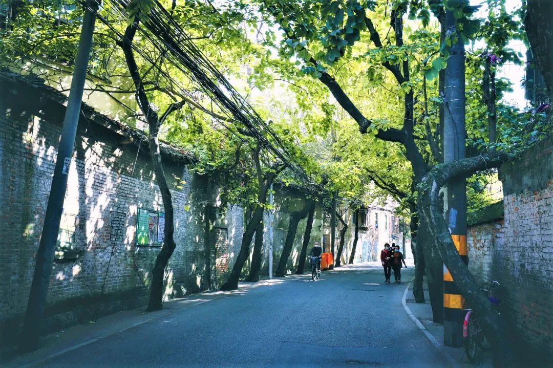 秋日citywalk好惬意,秋日最美citywalk