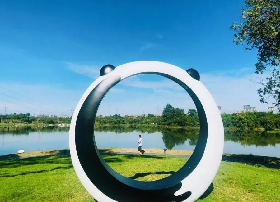 成华头条杉板桥,成华头条正能量