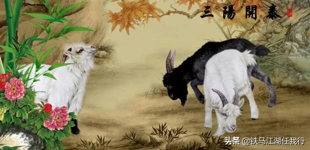 调侃三阳开泰,三阳开泰的经典语录