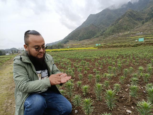 湖南小伙返乡创业种蔬菜,农村小伙创业卖花