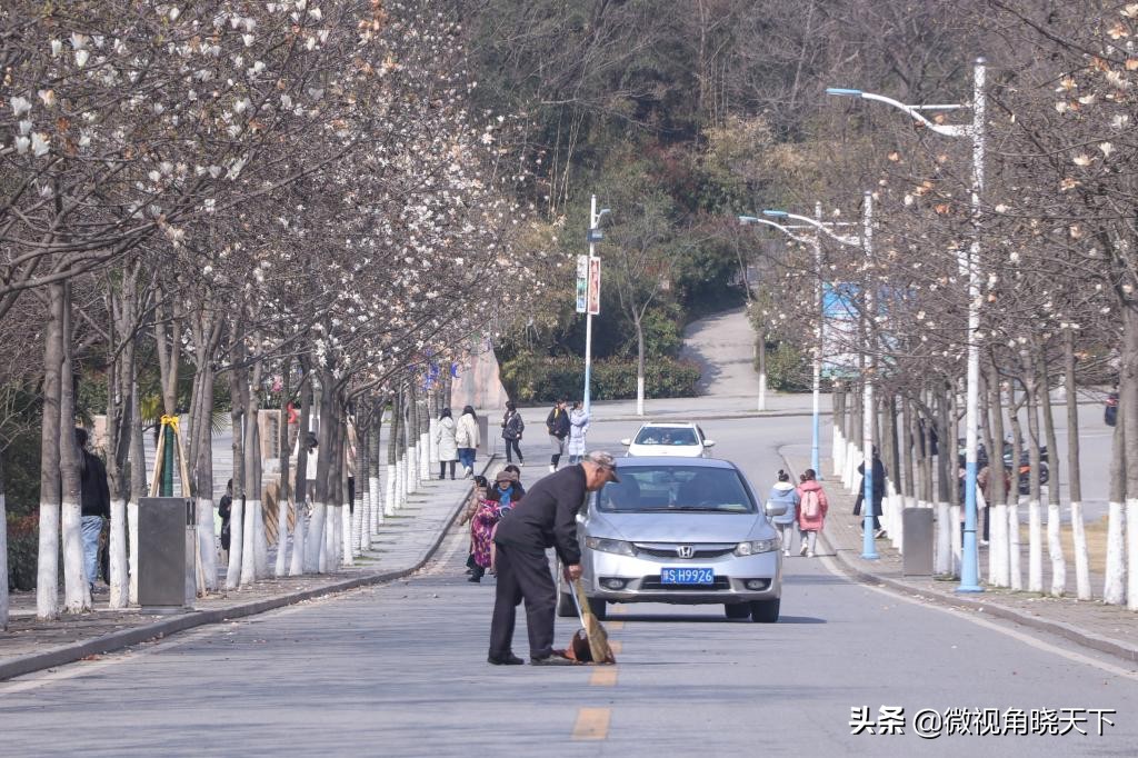 信阳师范学院：回眸但觉烟色浅，不知春意入师院