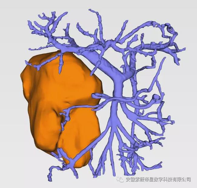 紫薇帝星穴,紫薇帝星医疗科技