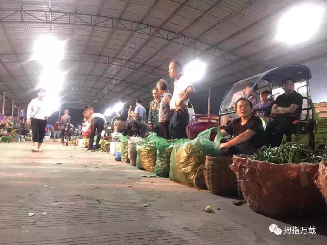 万载十二时辰图片,万载十二时辰解析