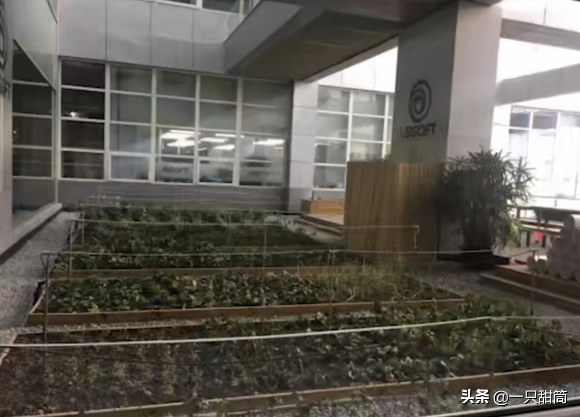 网易土豆服务器什么梗,网易土豆服务器是什么梗