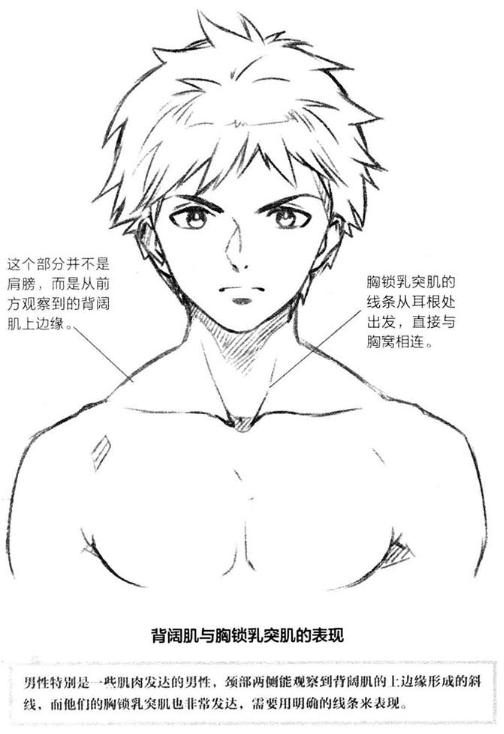 零基础漫画侧脸教程,初学漫画头入门零基础