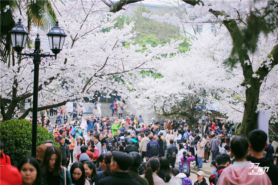 武汉最值得去的五个景点,最近武汉最值得去的景点