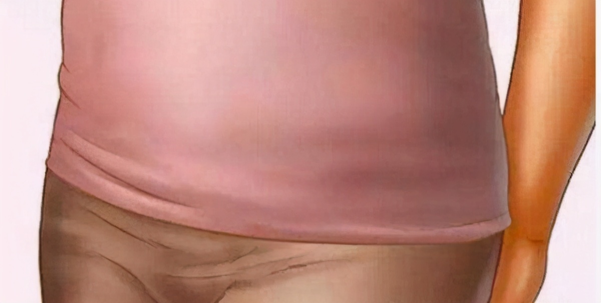 孕育胎宝的过程,胎宝发育过程