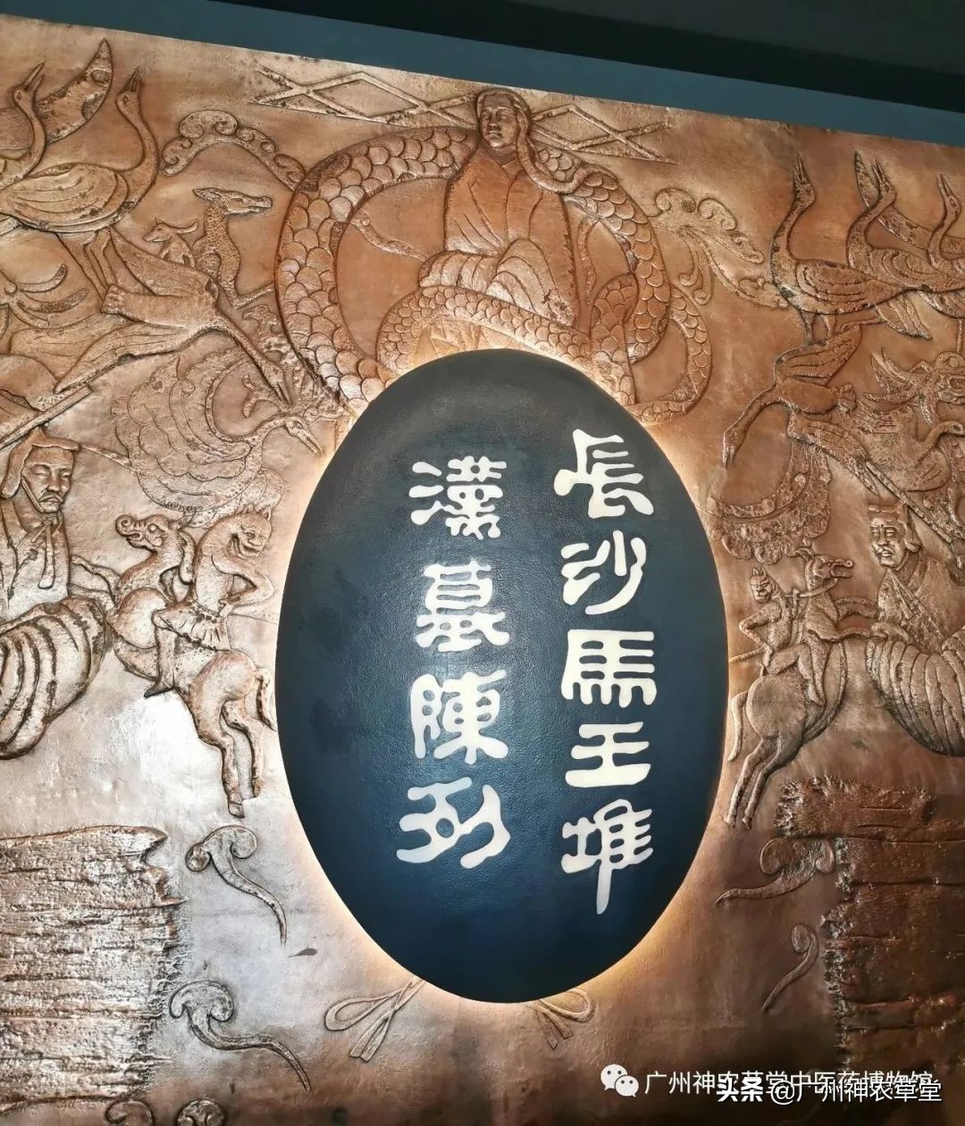 艸堂｜传说中可以挂太阳的树，草堂有