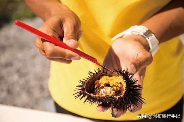 去日本才能吃过瘾的岛国本土食材,至少有8种便宜了游客