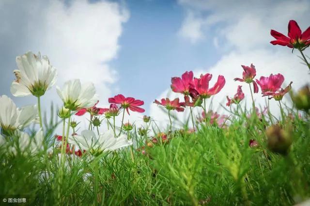 关于思乡送别爱国田园风光的古诗,有关爱国情怀边塞古诗词