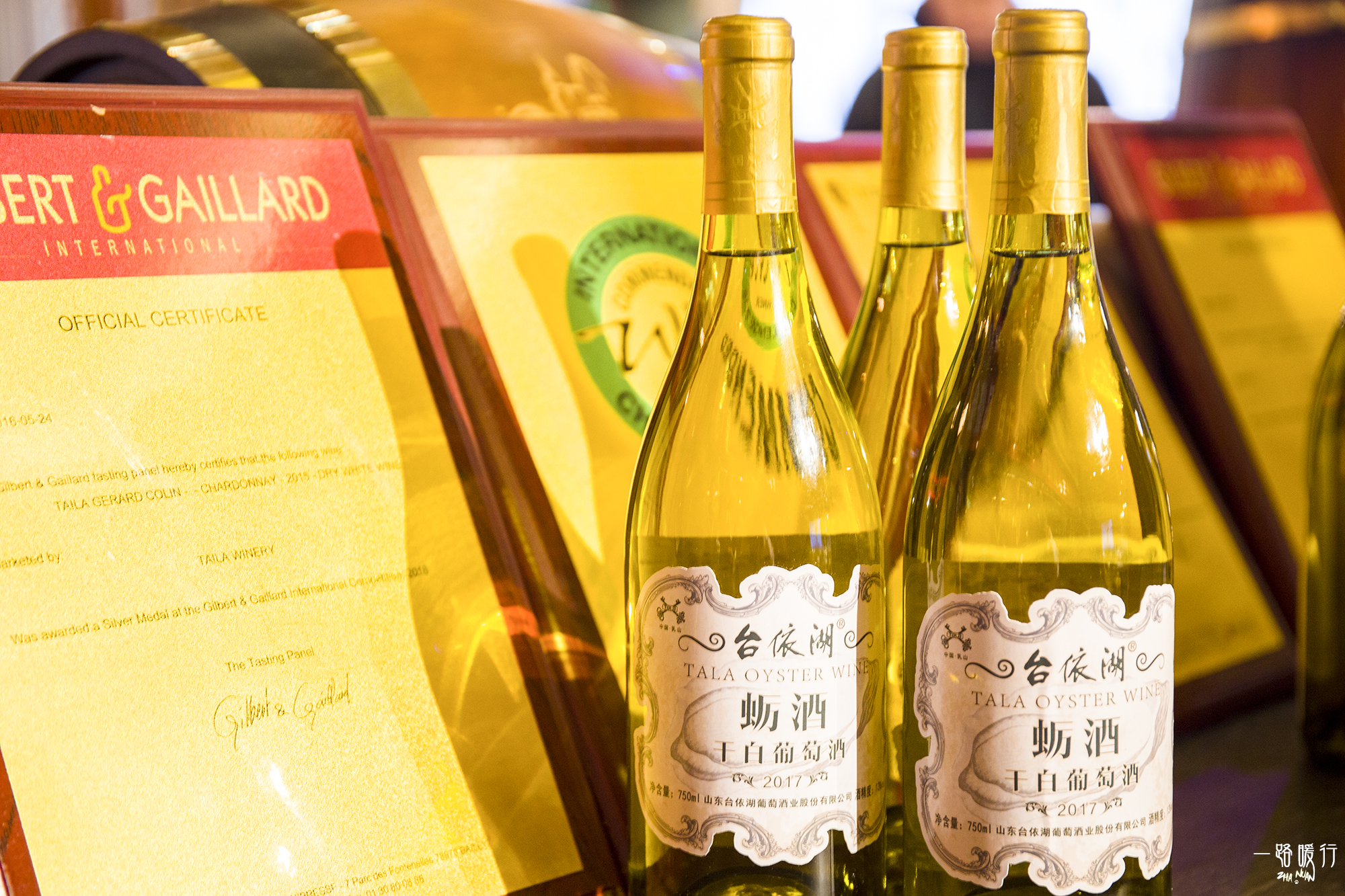 乳山冬季海蛎子,乳山海边海蛎子