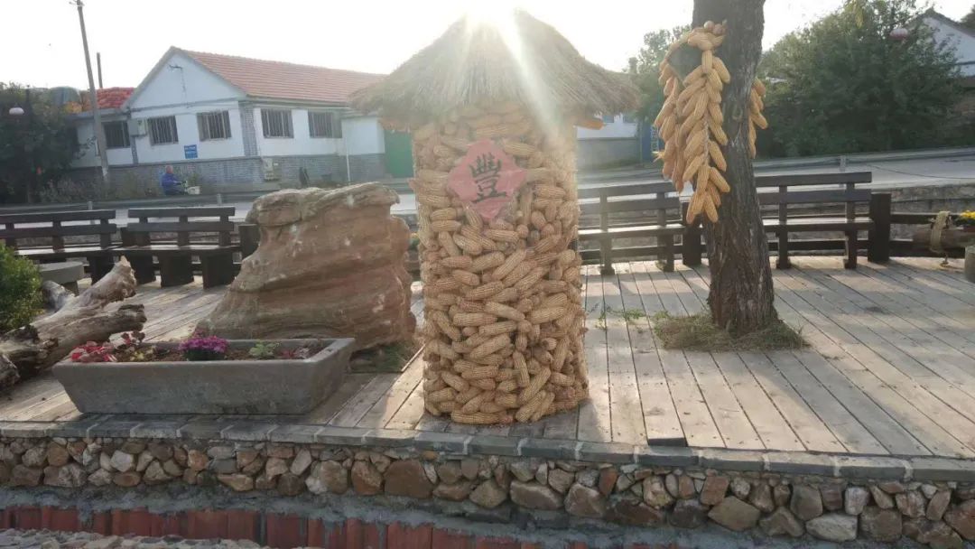 济南申请加入“大乱斗”！@理塘丁真，你的珍珠……泉在这里！