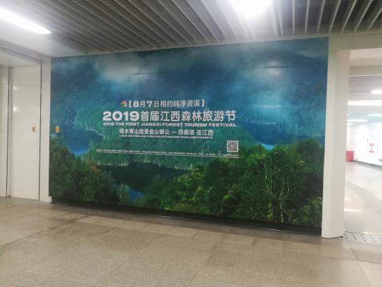 秋水广场南昌网红,秋水广场网红打卡