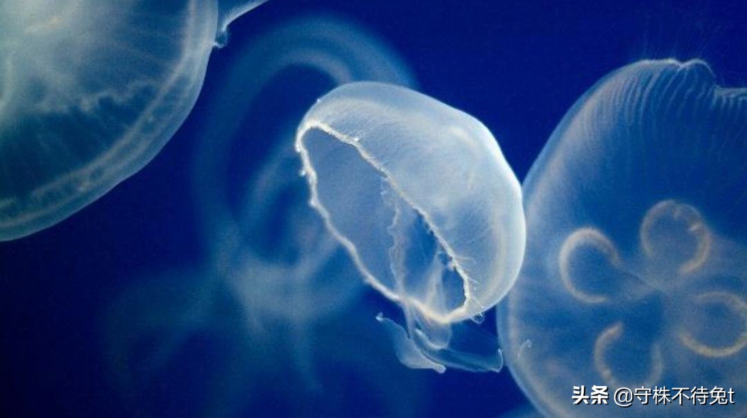 为什么有些车一坐上就困,10个冷知识第一期