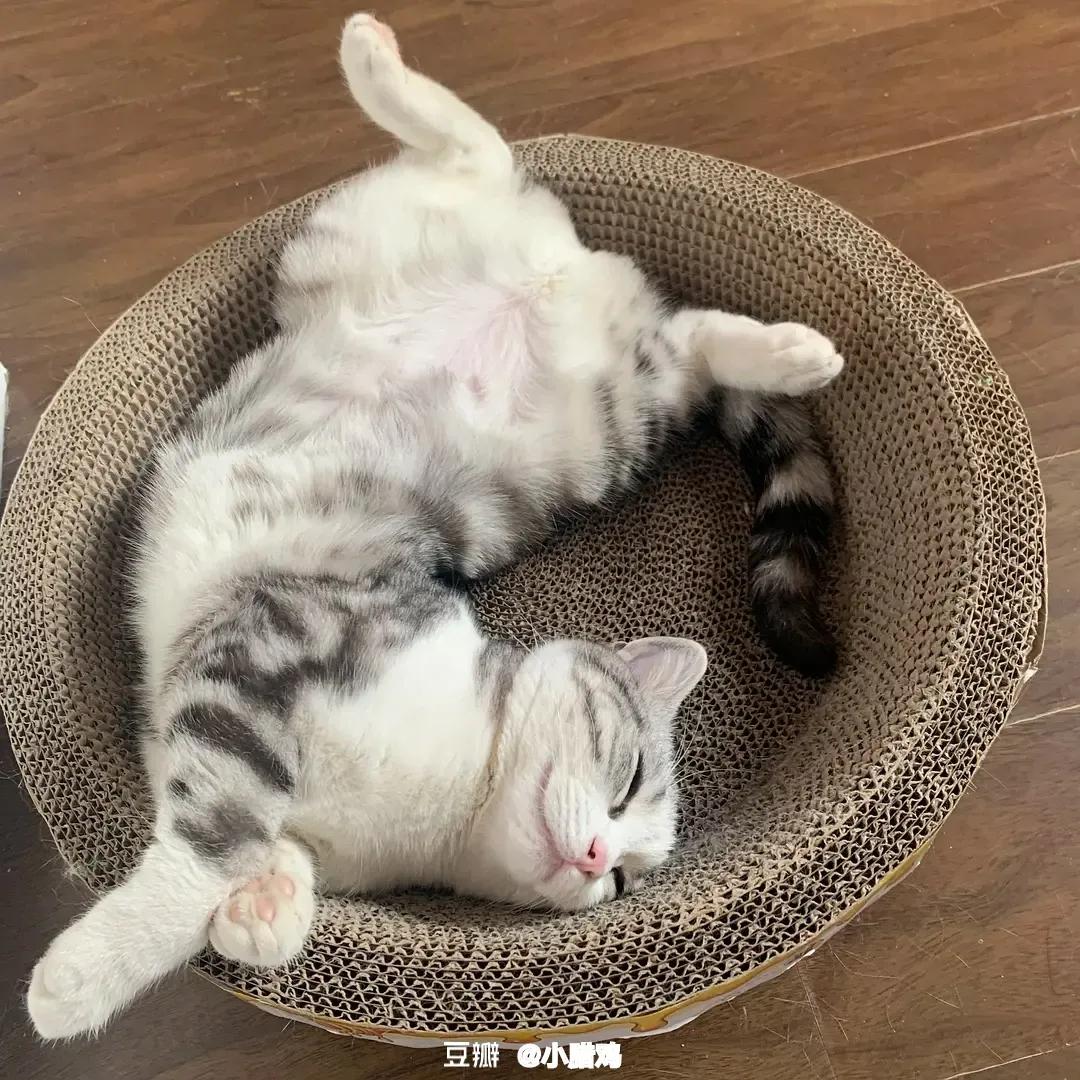 中国教会的现状,中国教会大有希望