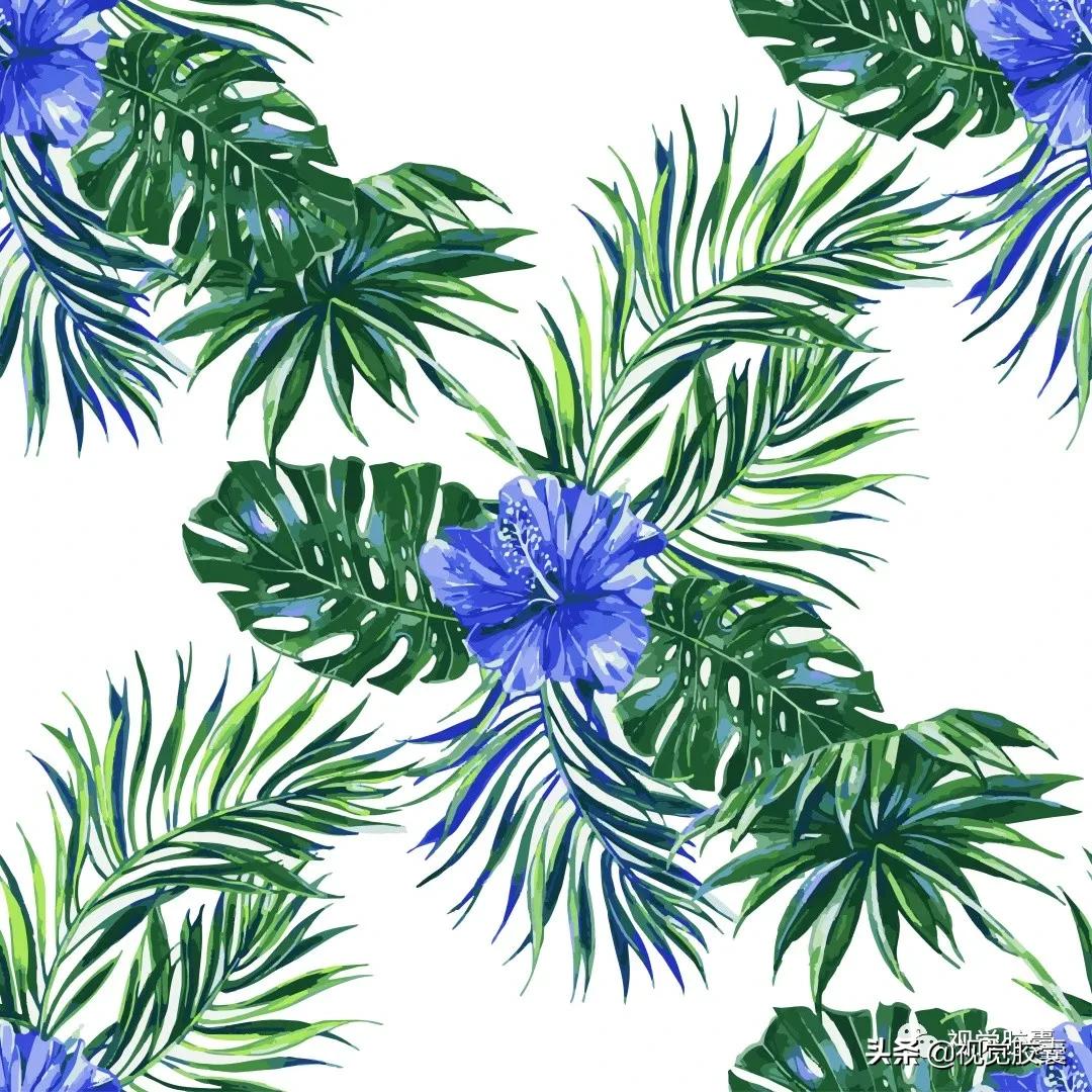 乡村蔬菜大棚的设计,蔬菜精美设计图片