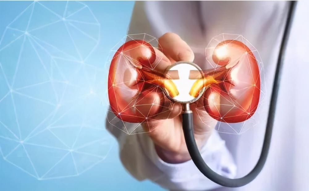 干细胞能治好慢性肾病吗,干细胞治疗肾病有哪些副作用