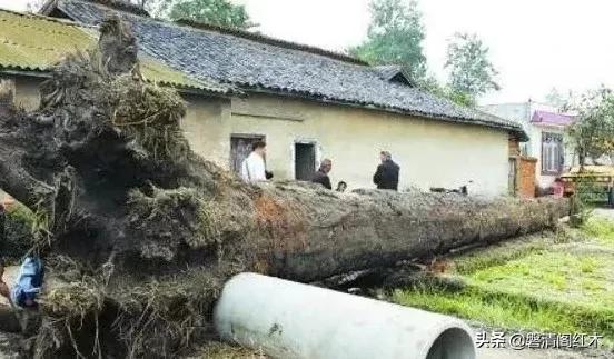 什么破烂能卖十元呢,各种破烂值多少钱