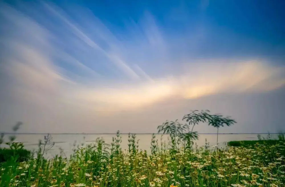 中国最有意思的县级市既是水乡界的杠把子，还有爆火的网红建筑