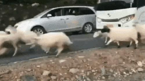 为什么加油站要24小时上班,为什么加油站一个工资1800