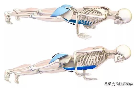 练瑜伽不会盘腿怎么办,练瑜伽髋不正位怎么办