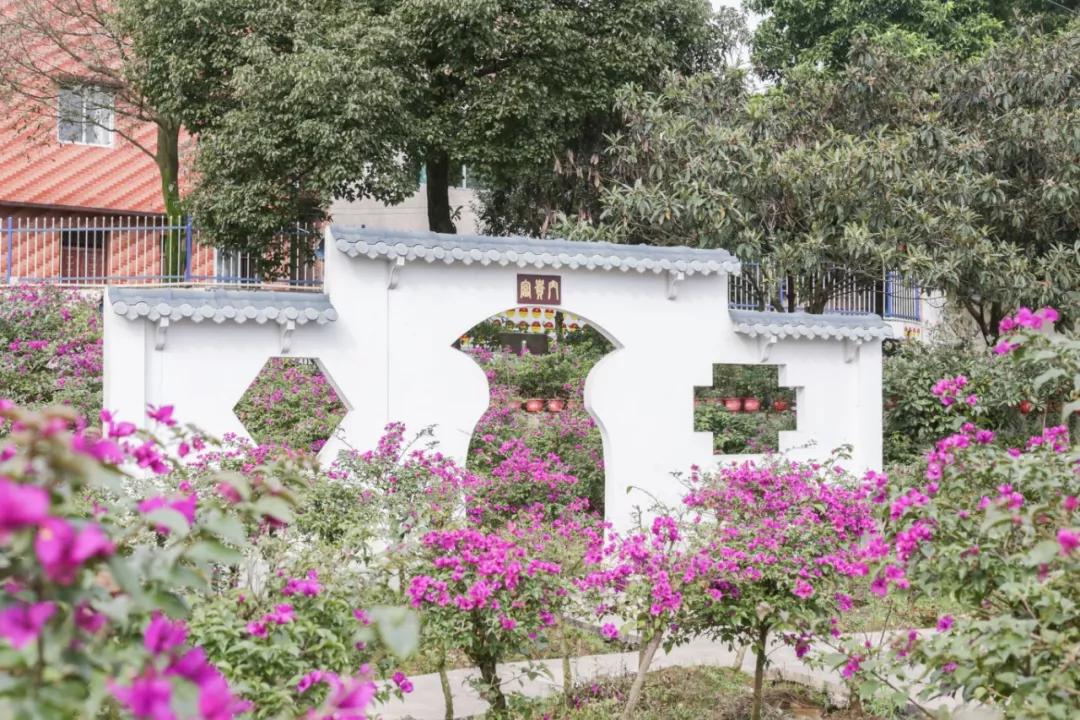 巴南又能耍又有吃的,重庆有什么美食巴南区